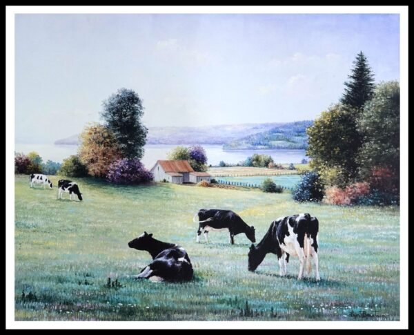 CAP 1334 Displaying Serenity